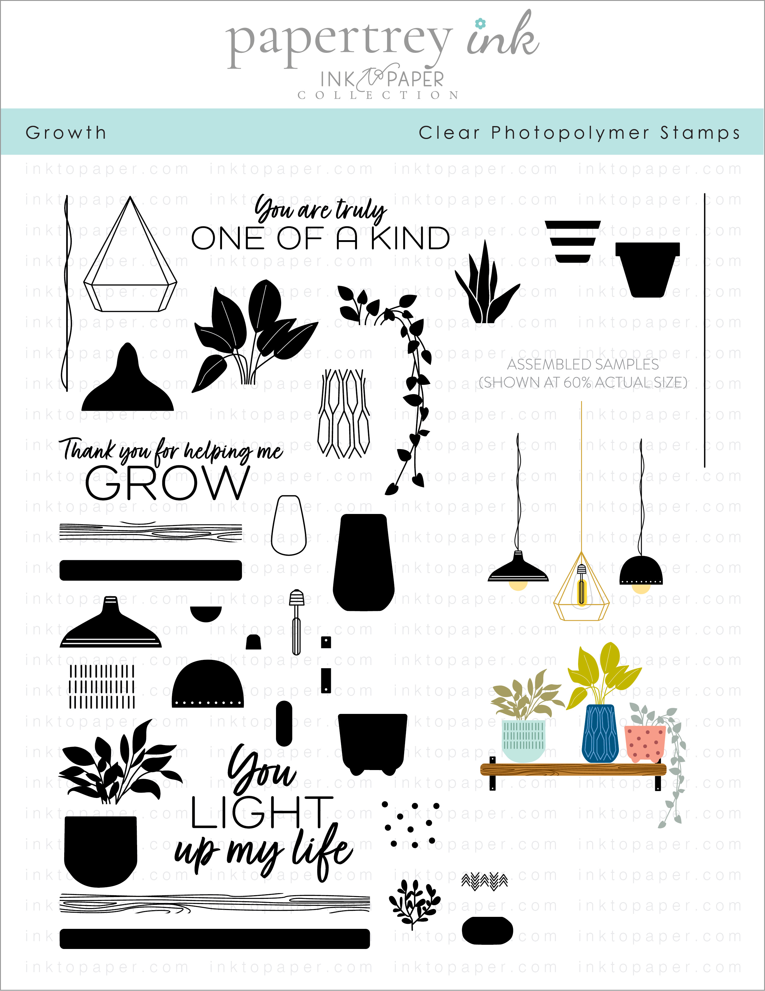 Growth Stamp Set: Papertrey Ink