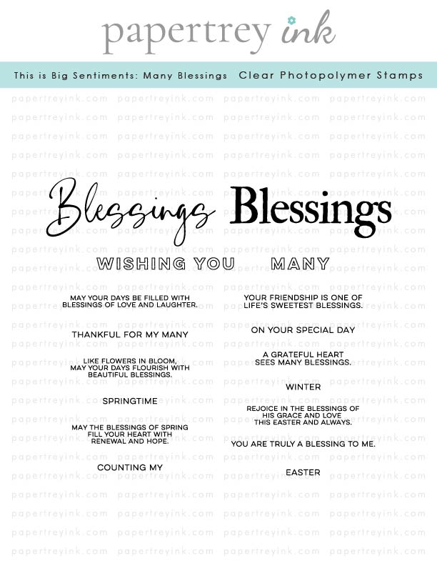 This is Big Sentiments: Many Blessings Stamp Set