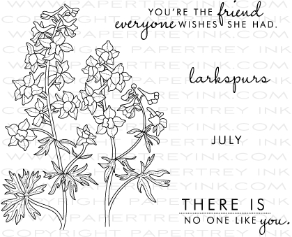 Larkspur Flower Drawing Flowers Ideas For Review