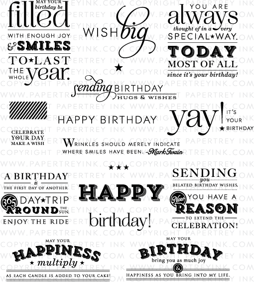 Stylish Sentiments  Birthday  Stamp Set Papertrey Ink 