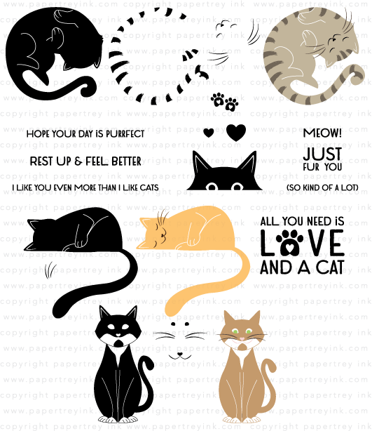 Kit N Caboodle Stamp Set Papertrey Ink Clear Stamps Dies Paper Kits