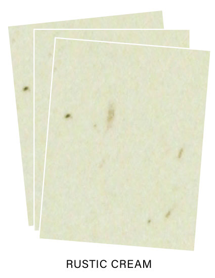Paper Basics - Rustic Cream Premium Cardstock (24 Sheets): Papertrey Ink