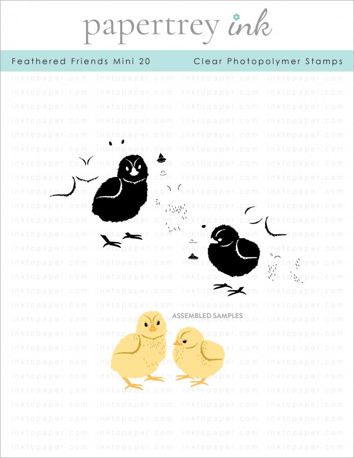 Feathered Friends Mini 20 Mini Stamp Set
