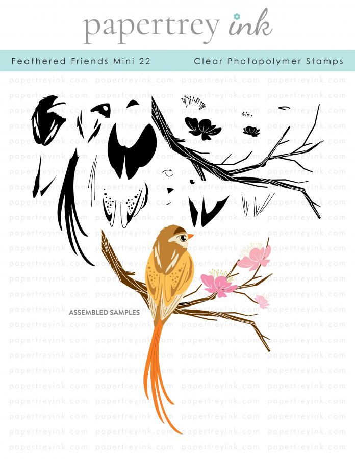 Feathered Friends Mini 22 Stamp Set