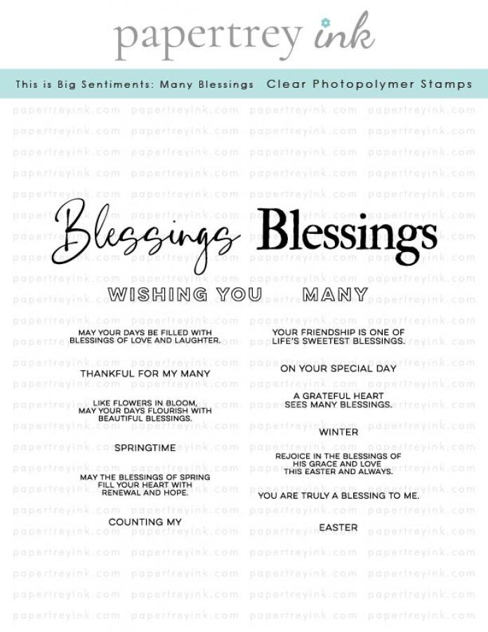 This is Big Sentiments: Many Blessings Stamp Set