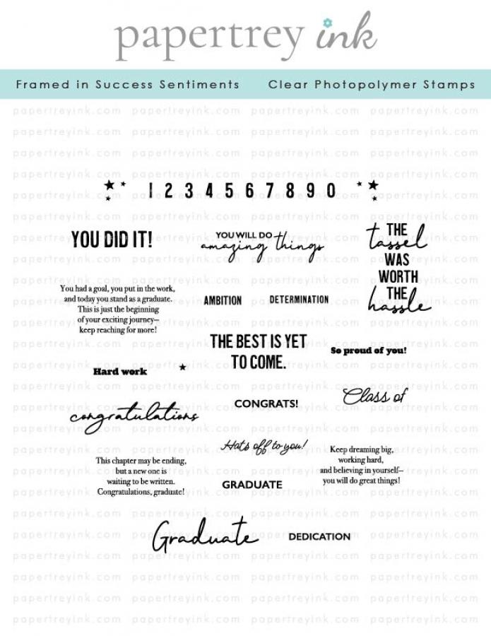 Framed in Success Sentiments Stamp Set