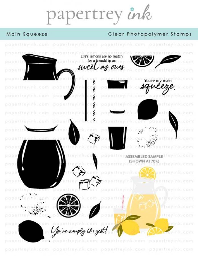 Main Squeeze Stamp Set