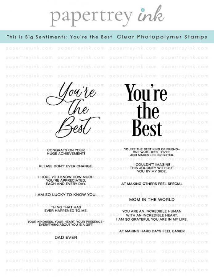 This is Big Sentiments: You're the Best Stamp Set
