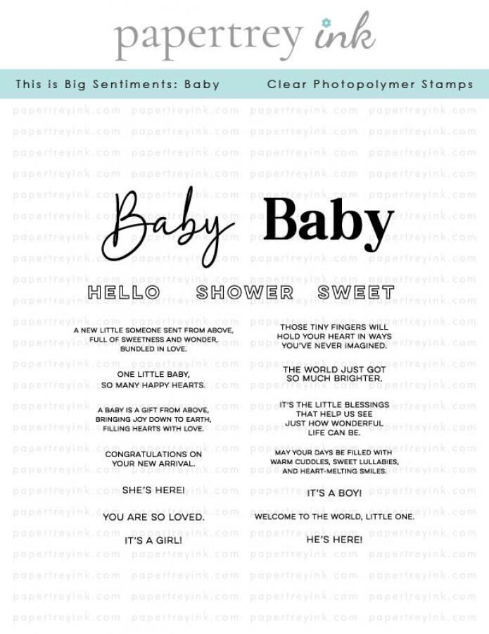 This is Big Sentiments: Baby Stamp Set