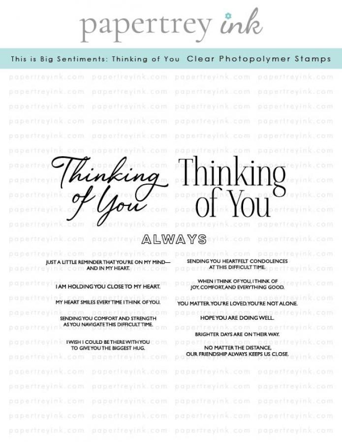 This is Big Sentiments: Thinking of You Stamp Set