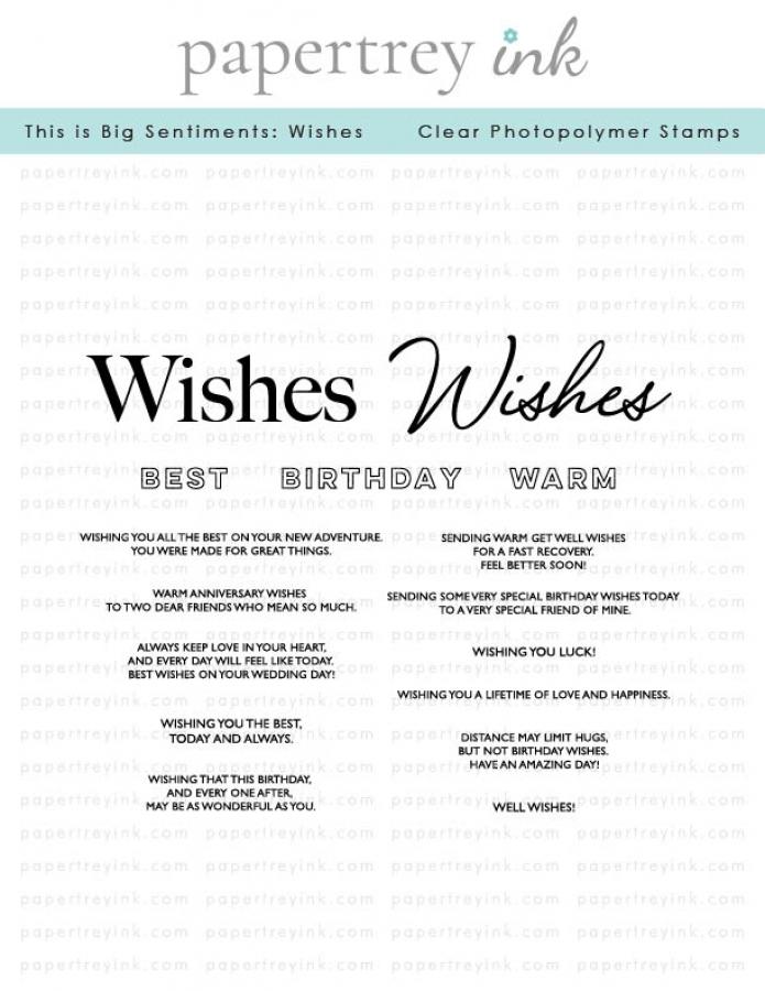 This is Big Sentiments: Wishes Stamp Set