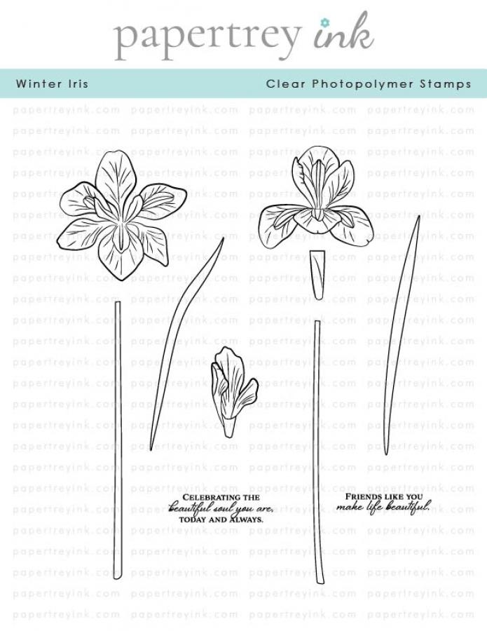 Winter Iris Stamp Set