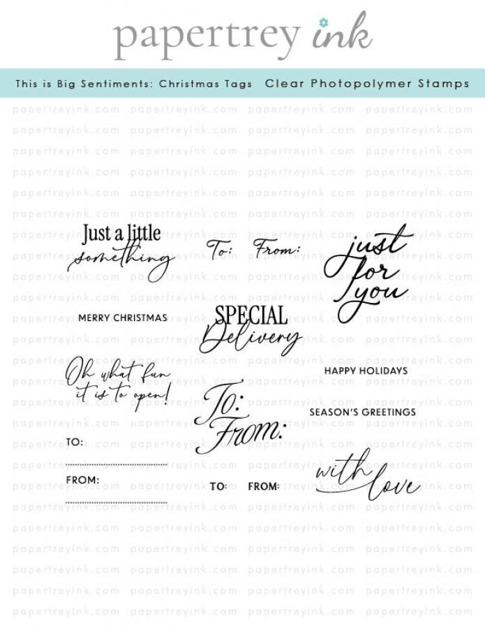 This is Big Sentiments: Christmas Tags Stamp Set