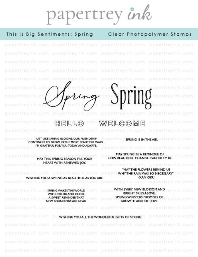 This is Big Sentiments: Spring Stamp Set