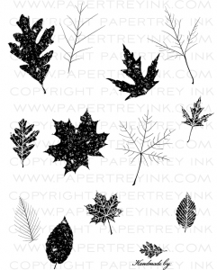 Leaf Prints Stamp Set