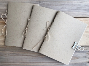 Traveler's Journal: Passport Page Blanks