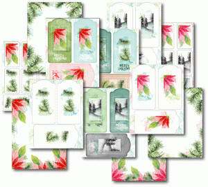 Poinsettia & Pine Patterned Paper Collection (16 sheets)
