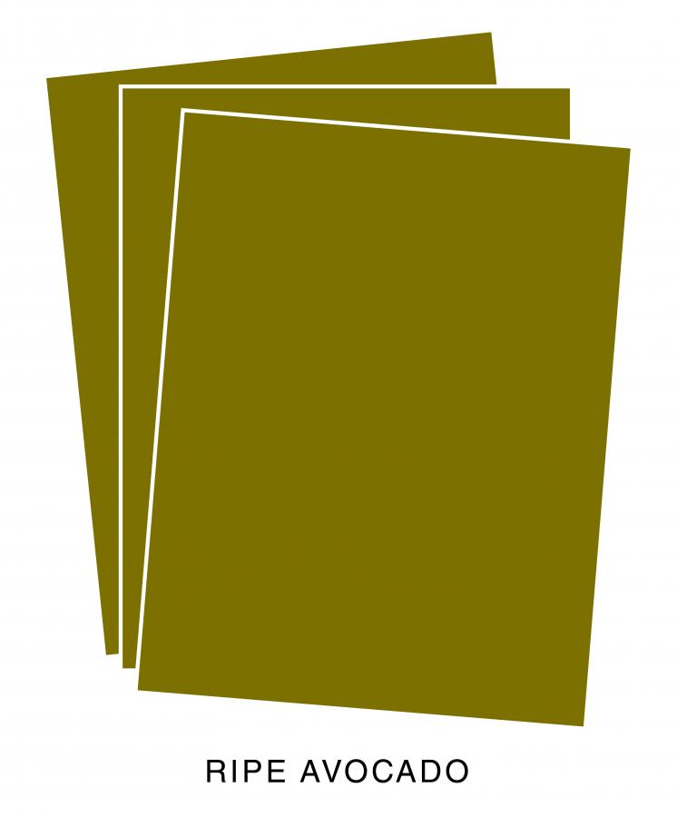 Perfect Match Ripe Avocado Premium Cardstock (24 Sheets)
