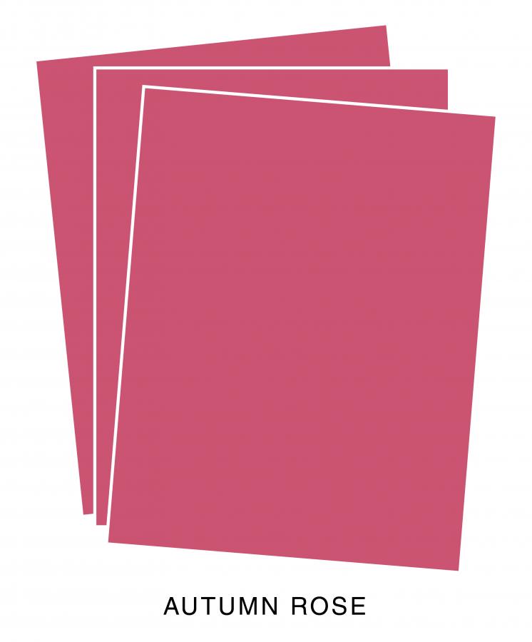 Perfect Match Autumn Rose Cardstock (24 sheets)
