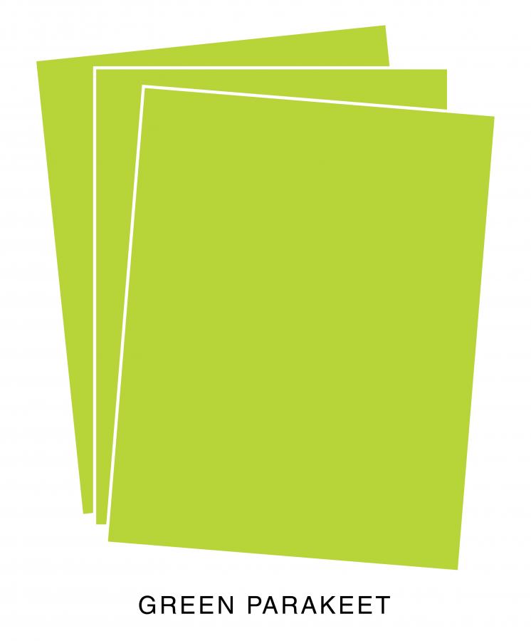 Perfect Match Green Parakeet Premium Cardstock (24 Sheets)