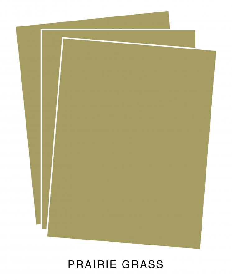 Perfect Match Prairie Grass Premium Cardstock (24 Sheets)