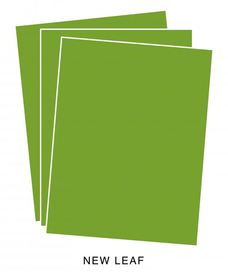 Perfect Match New Leaf Premium Cardstock (12 sheets)