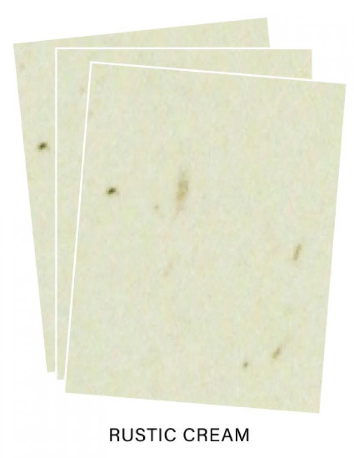 Paper Basics - Rustic Cream Premium Cardstock (12 Sheets)