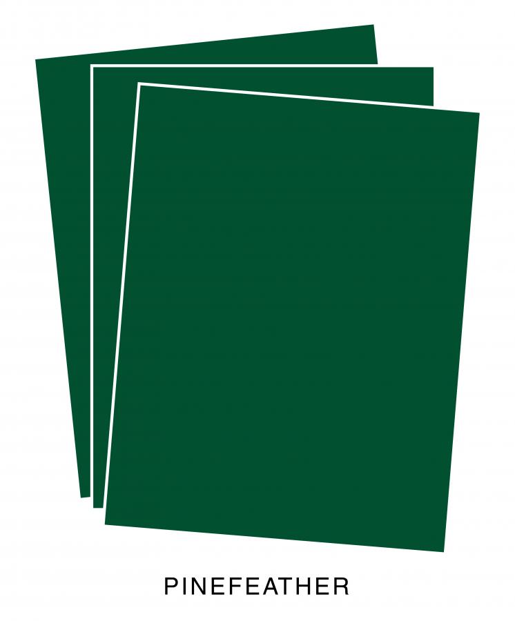 Perfect Match Pinefeather Premium Cardstock (12 sheets)