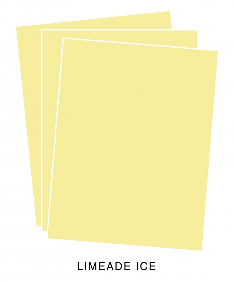 Perfect Match Limeade Ice Cardstock (12 sheets)