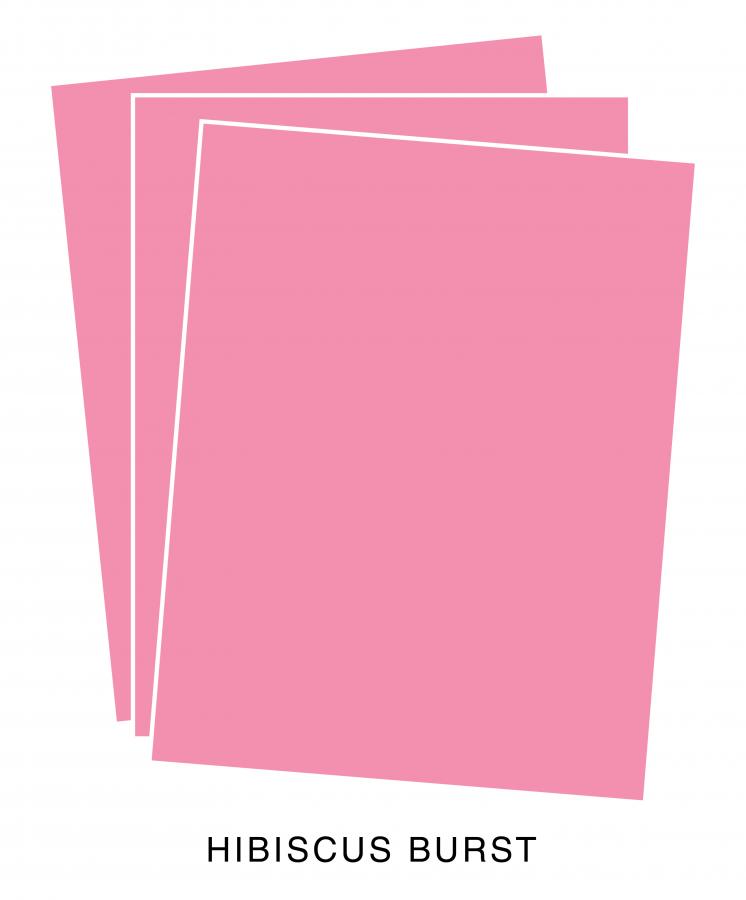 Perfect Match Hibiscus Burst Cardstock (50 sheets)
