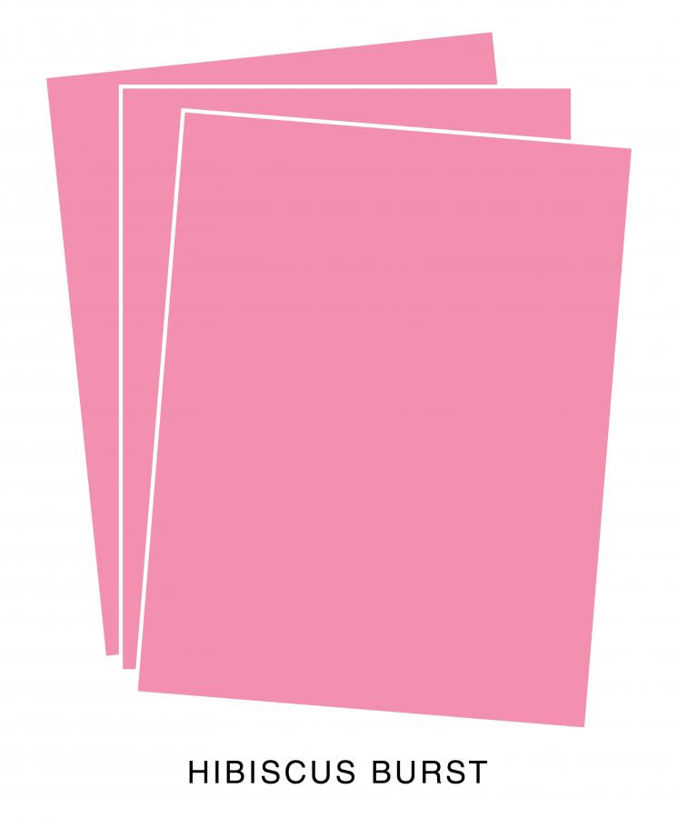 Perfect Match Hibiscus Burst Premium Cardstock (50 sheets)