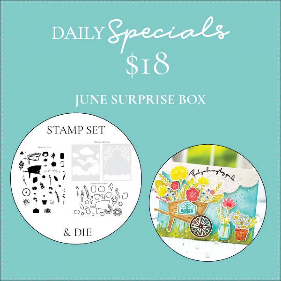 Daily Special - June Surprise Box