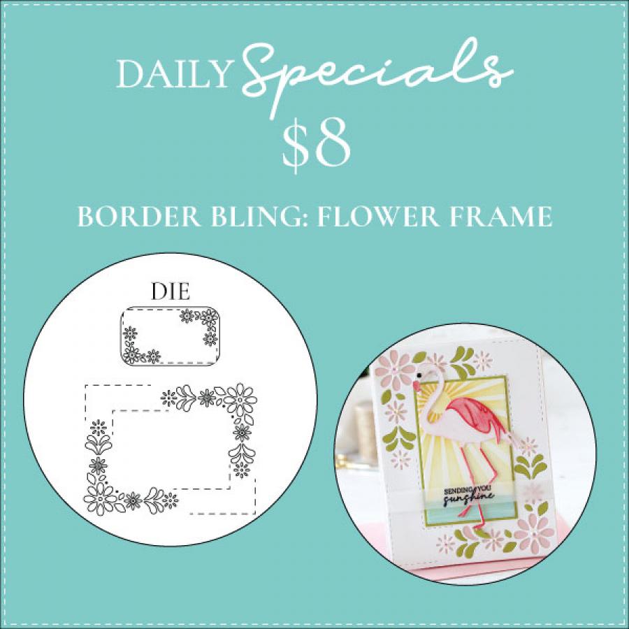 Daily Special - Border Bling: Flower Frame Die