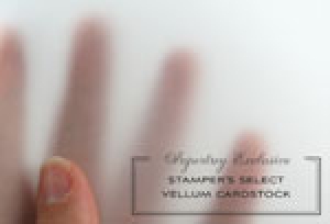 Paper Basics - Stamper's Select Vellum Cardstock (12 Sheets)