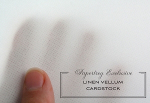 Paper Basics - Linen Vellum Cardstock (24 Sheets)