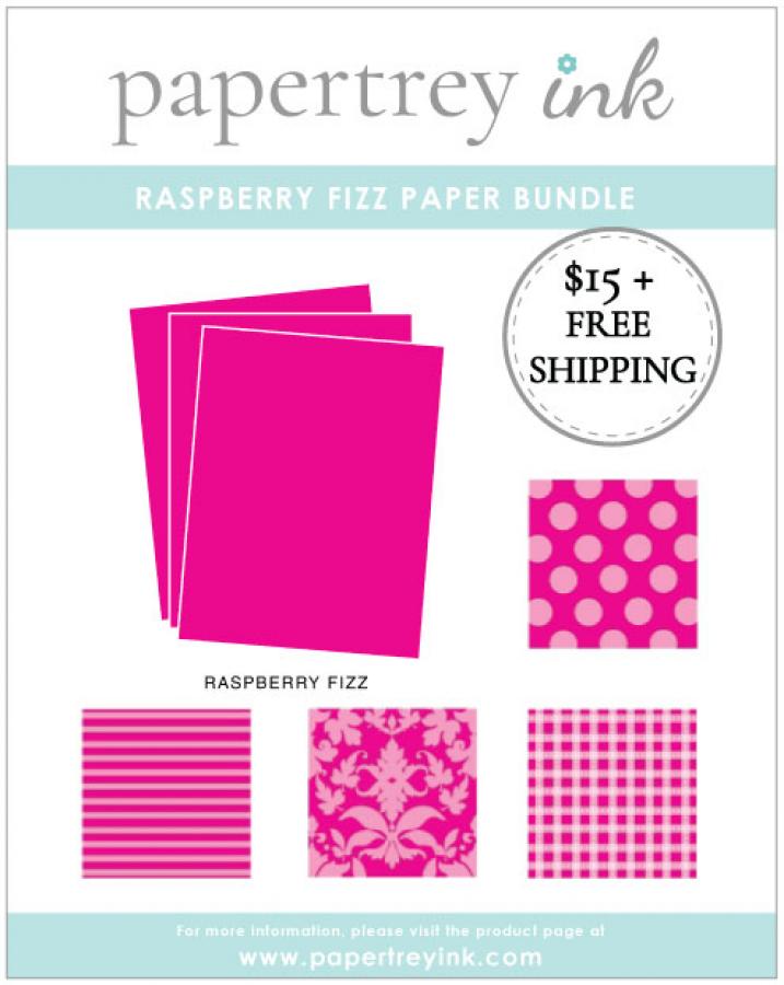 Raspberry Fizz Paper Bundle