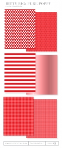 Bitty Big: Pure Poppy Color Collection (24 sheets)