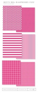 Bitty Big: Raspberry Fizz Color Collection (24 sheets)