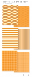 Bitty Big: Orange Zest Color Collection (24 sheets)