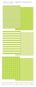 Bitty Big: Green Parakeet Color Collection (24 sheets)