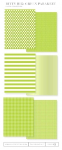 Bitty Big: Green Parakeet Color Collection (24 sheets)