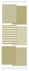 Bitty Big: Prairie Grass Color Collection (24 sheets)