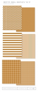 Bitty Big: Honey Nut Color Collection (24 sheets)