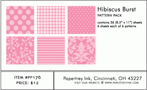 Hibiscus Burst Pattern Pack (36 Sheets)