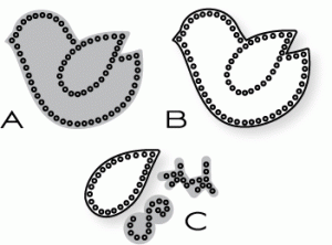 Papertrey Ink - Seasonal Stitching: Birds Die Collection (set of 3) Papertrey Ink - Seasonal Stitching: Birds Die Collection (set of 3)