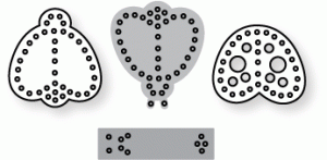 Papertrey Ink - Seasonal Stitching: Ladybug Die Papertrey Ink - Seasonal Stitching: Ladybug Die