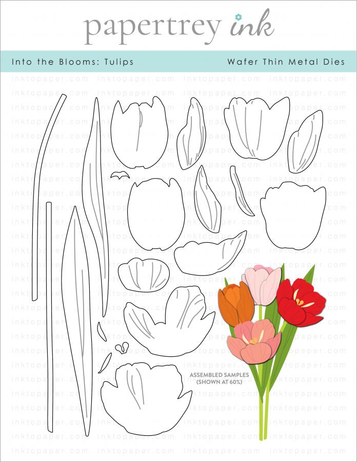 Into the Blooms: Tulips Die