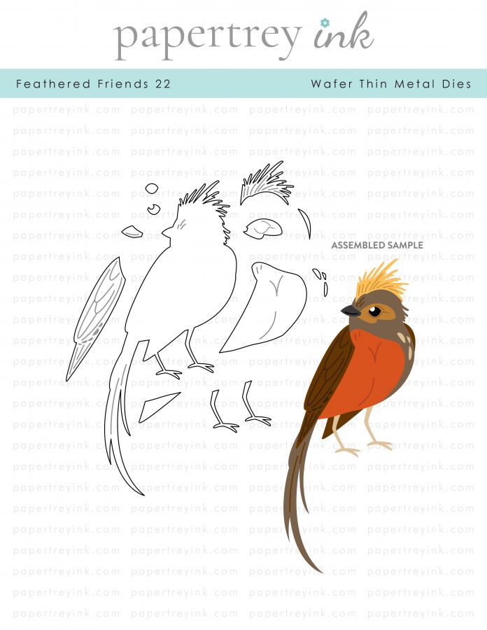 Feathered Friends 22 Die