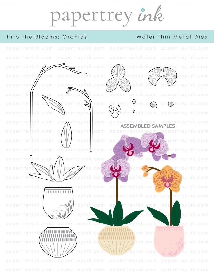 Into the Blooms: Orchids Die