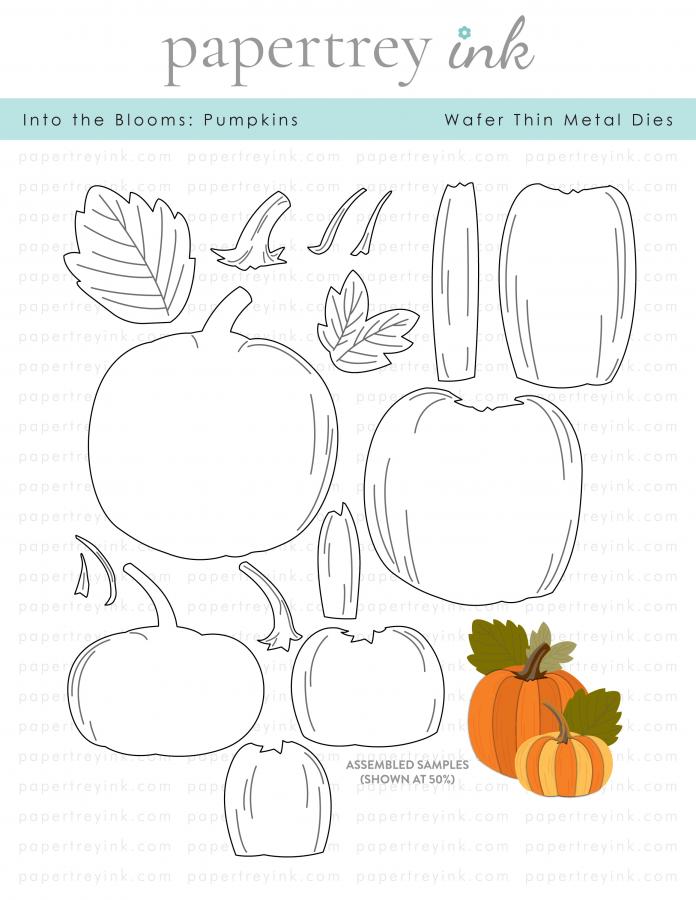 Pumpkin さんよろしくお願い申し上げます。 Handcam: Scarling Pumpkin Carving!🎃✨ - YouTube